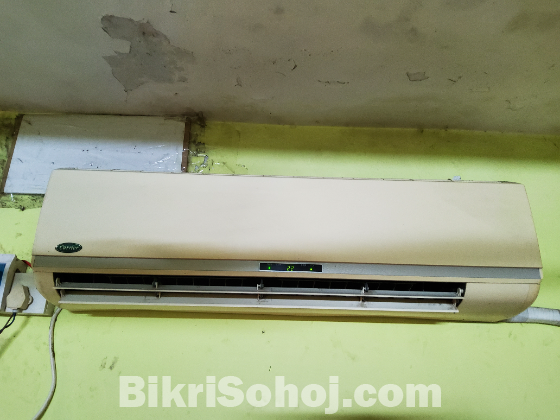 আপনার যদি ছোট রুম হয় তাহলে ক্যারিয়ার এসিটি হতেপারে আপনার।
